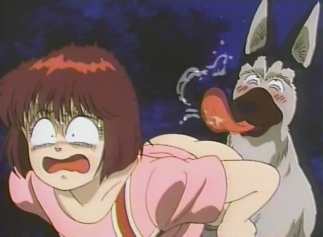 켄넬 토코로자와