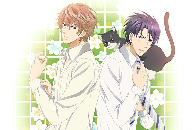 세계 제일의 첫사랑: 요코자와 타카후미의 경우