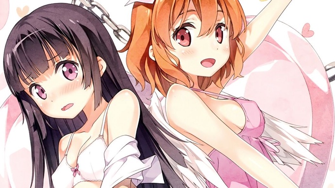 최근 여동생의 상태가 조금 이상한 것 같다만 BD