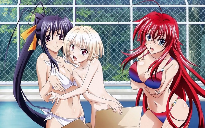 하이스쿨 DxD BorN (3기) BD
