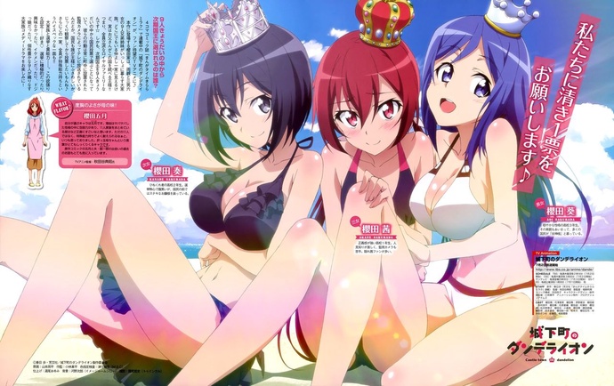 성곽도시의 단델리온 BD