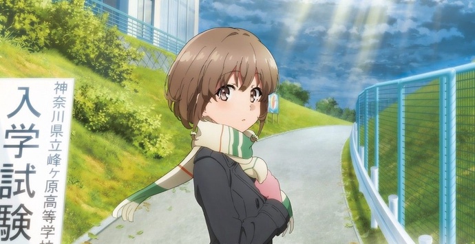 청춘 돼지는 외출하는 여동생의 꿈을 꾸지 않는다