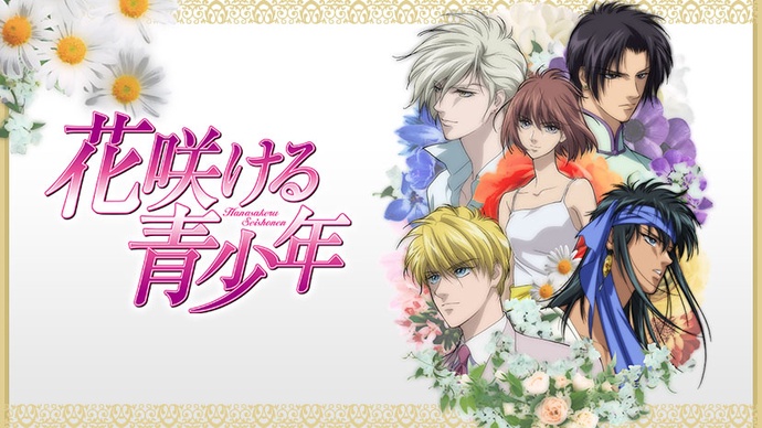 카시카 (꽃 피우는 청소년)