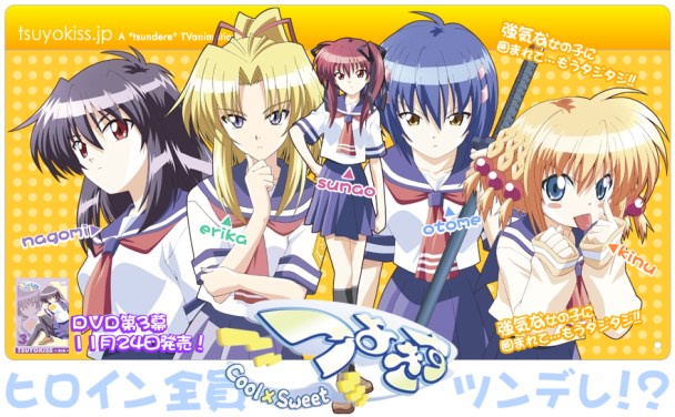 츠요키스 Cool×Sweet DVD