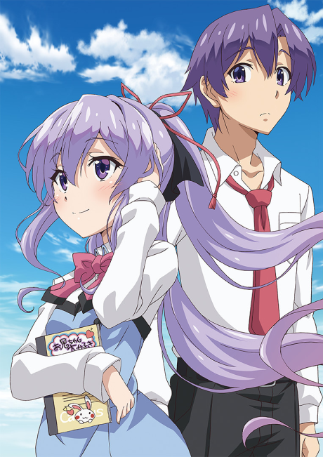 Ore ga Suki nano wa Imouto dakedo Imouto ja Nai BD