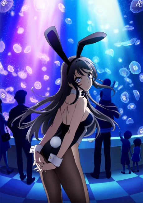 Seishun Buta Yarou wa Bunny Girl Senpai no Yume wo Minai BD