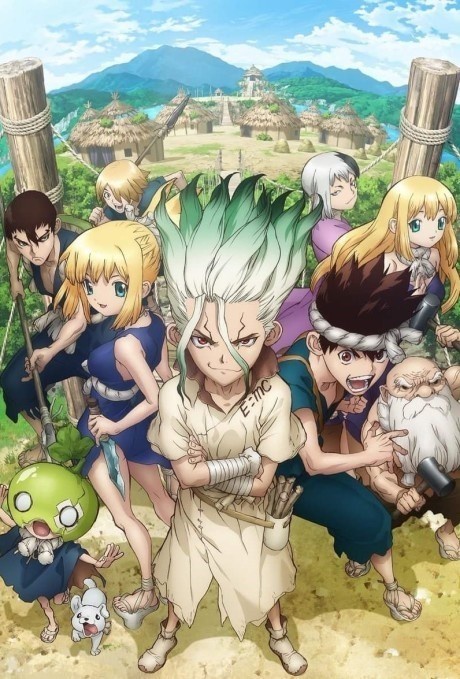 Dr. STONE BD