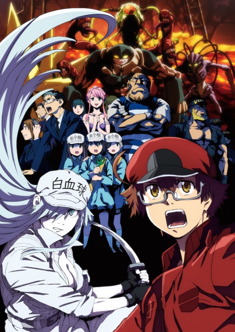 Hataraku Saibou BLACK BD