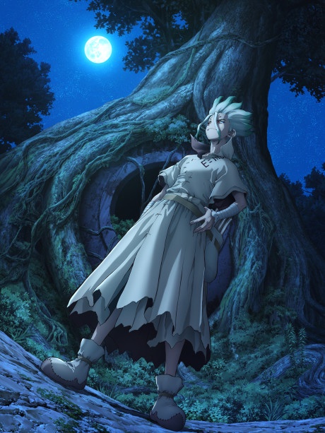 Dr. STONE: NEW WORLD BD