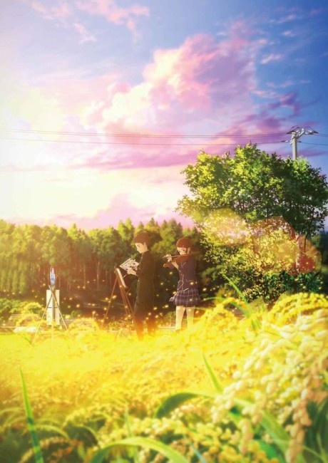 Hakubo BD